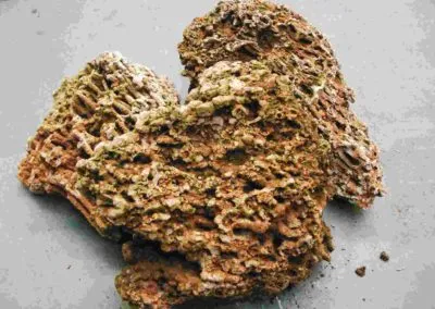 Spaghetti Stone – Produkt von Natursteine Dayan