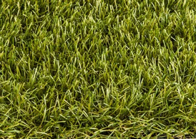 Royal Grass ® Sense – Produkt von Natursteine Dayan