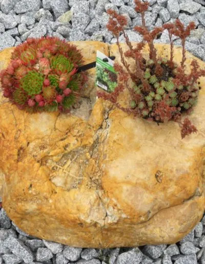 Findlinge & Monolithe – Sortiment von Natursteine Dayan