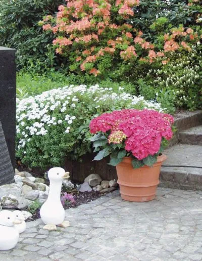 Quelle New York Granit – Produkt von Natursteine Dayan